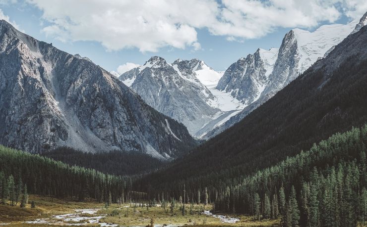 移民捷克到底得掏多少？我把账单拆给你看